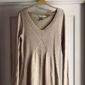 Sweater Dress (Max Studio)